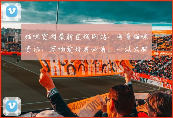 猫咪官网最新在线网站，海量猫咪资讯，宠物爱好者必看，一站式猫咪生活指南，尽在掌握