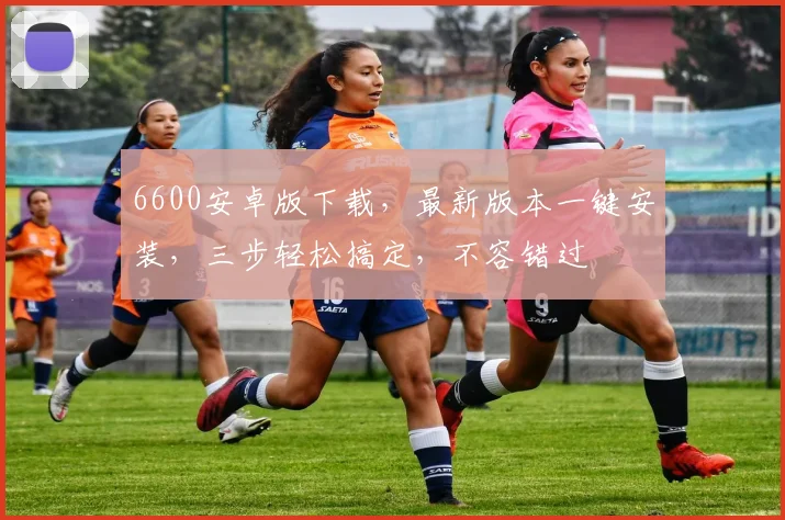 6600安卓版下载，最新版本一键安装，三步轻松搞定，不容错过