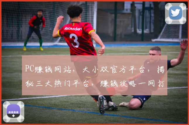 PC赚钱网站，大小双官方平台，揭秘三大热门平台，赚钱攻略一网打尽，不容错过