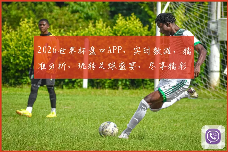 2026世界杯盘口APP，实时数据，精准分析，玩转足球盛宴，尽享精彩